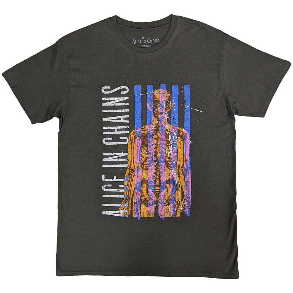 Alice In Chains Skeletal Grey