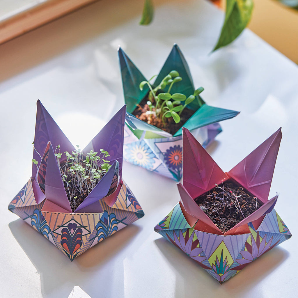 Cosmic Seed Kit - Display: Earth: Marigold