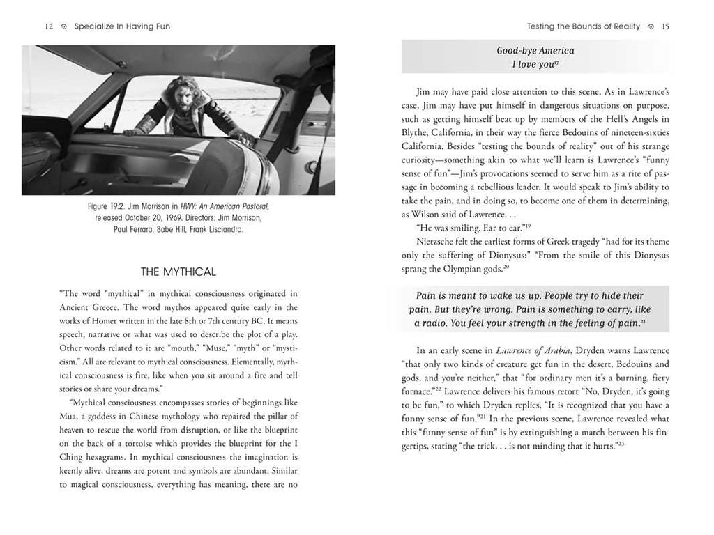 Jim Morrison, Secret Teacher of the Occult by Paul Wyld: Paperback; 256 pages / English