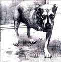 Alice In Chains Alice in Chains