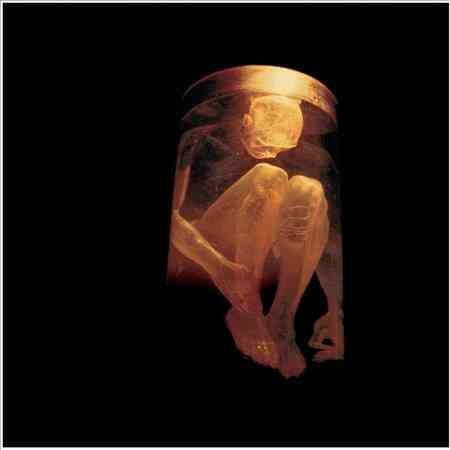 Alice In Chains NOTHING SAFE: BEST OF THE BOX
