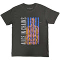 Alice In Chains Skeletal Grey