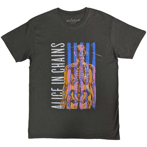 Alice In Chains Skeletal Grey