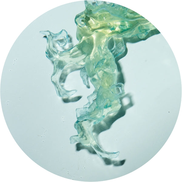 Altone Invincible Nature