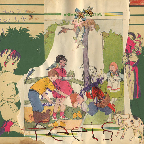 Animal Collective Feels