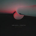 ANIMAL YOUTH Animal