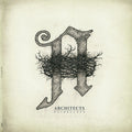 Architects Daybreaker