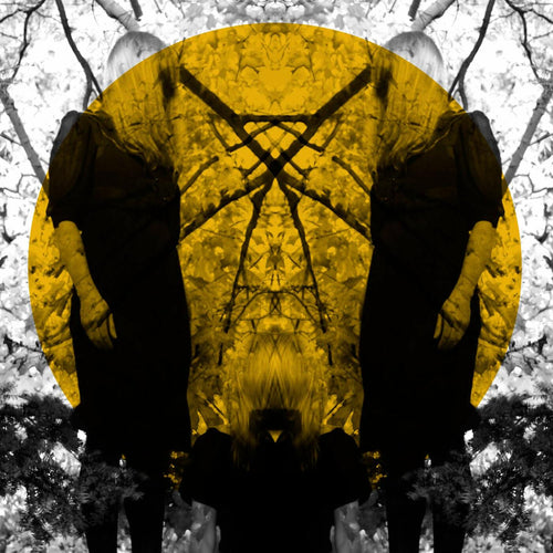 Austra Feel It Break