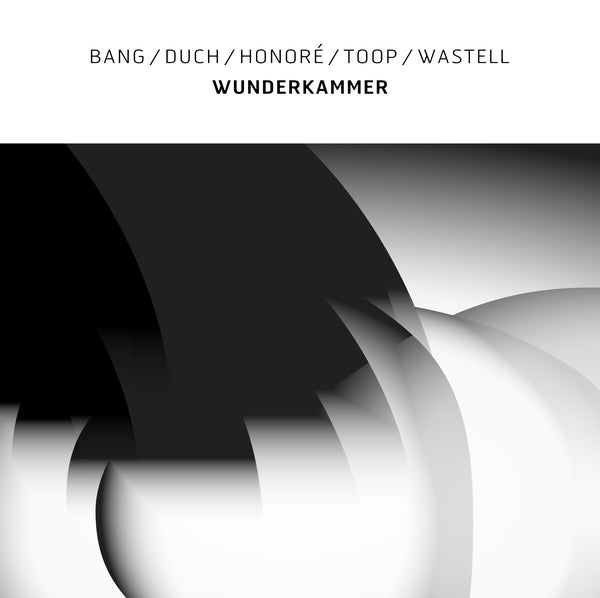 Bang/Duch/Honore/Toop/Wastell Wunderkammer