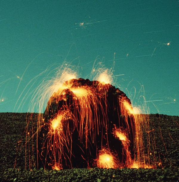 Banha Da Cobra Lava Love