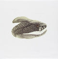Brand New Mene (7" Single)
