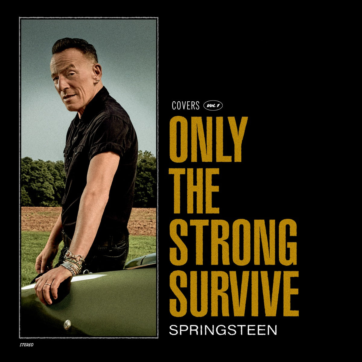 Bruce Springsteen Only The Strong Survive (Nightshade Green Vinyl) [2Lp]