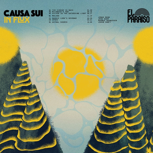 CAUSA SUI In Flux