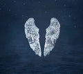 Coldplay Ghost Stories