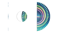Coldplay Moon Music Picture Disc (Indie Exclusive, Zoetrope Picture Disc Vinyl)