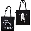 David Gilmour Luck & Strange Black