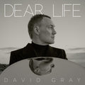 David Gray Dear Life (Limited Edition, Seaweed Green Colored Vinyl)