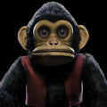 Edo Van Breemen The Monkey