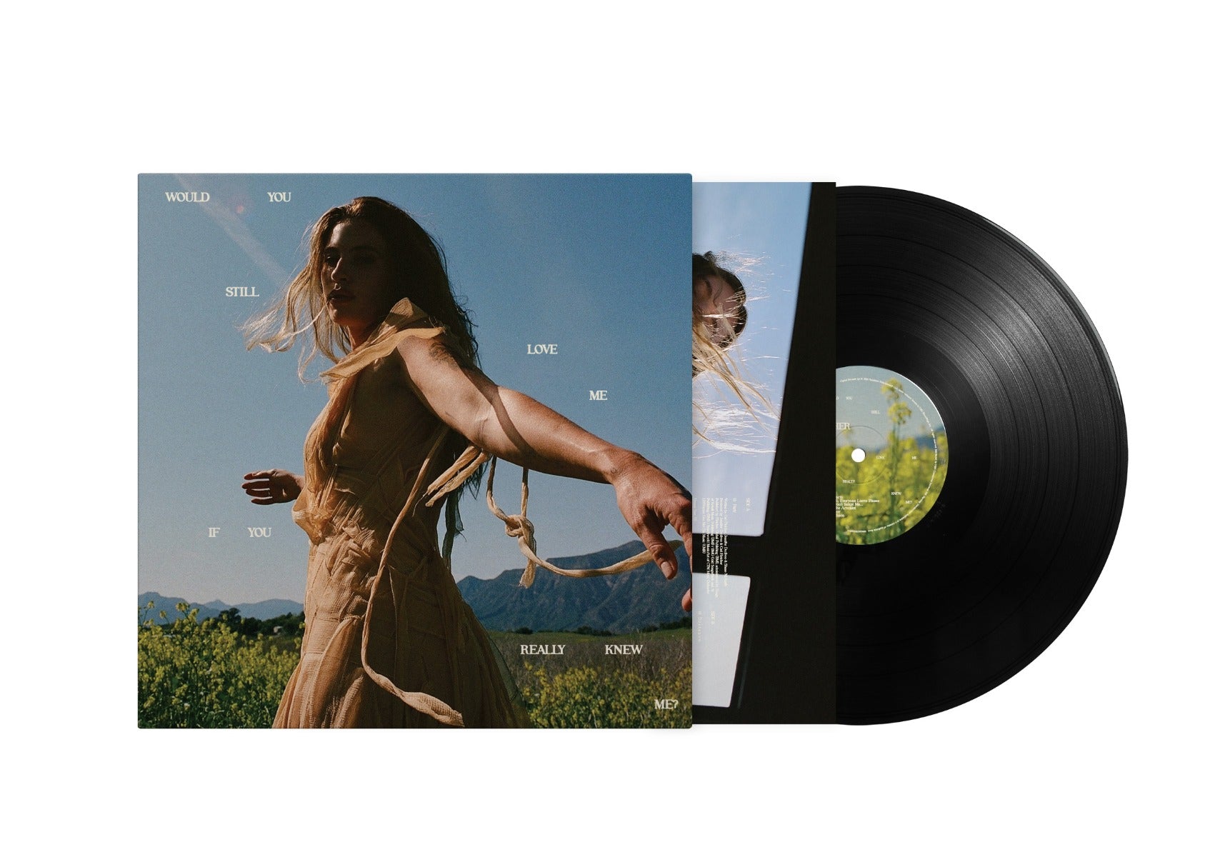 FLETCHER Would You Still Love Me If You Really Knew Me? [Lp]