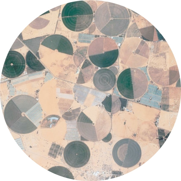 Forest Drive West Recursion Ep