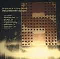 HUGO RACE & THE TRUE SPIRIT The Goldstreet Sessions