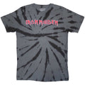 Iron Maiden Logo Grey