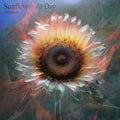 J. WILTSHIRE Sunflower At Day