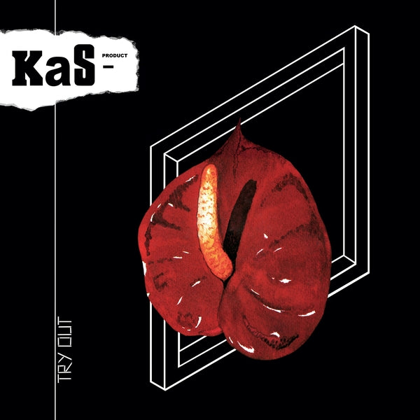 KaS Product Try Out