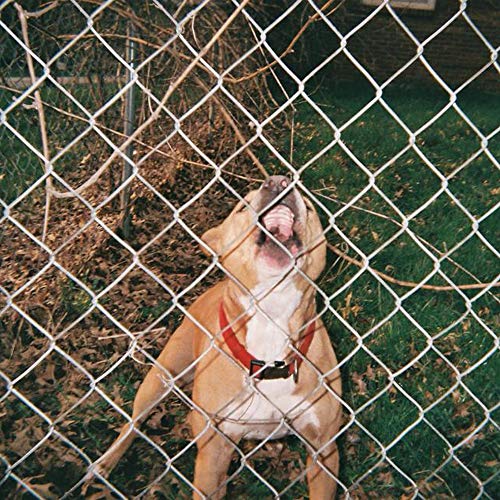 Knocked Loose Pop Culture [Beer & Bone W/ Evergreen Splatter Vinyl]
