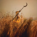 Patrick Wolf Crying The Neck [180G Harvest Ochre/Umber Soil 2 Lp]