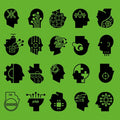 Pdqb Wetware Unveiled