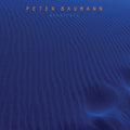 PETER BAUMANN Nightfall