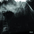 REINHOLD FRIEDL & ERYCK ABECASSIS Animal Electrique