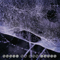 Speed Of The Stars (Steve Kilbey & Frank Kearns) Speed Of The Stars