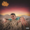 Still Woozy If This Isn't Nice, I Don't Know What Is [LP]