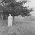 Taylor Swift Folklore: Hide And Seek Edition [Import]