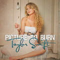 Taylor Swift Picture To Burn [Smoke Gray 7"]