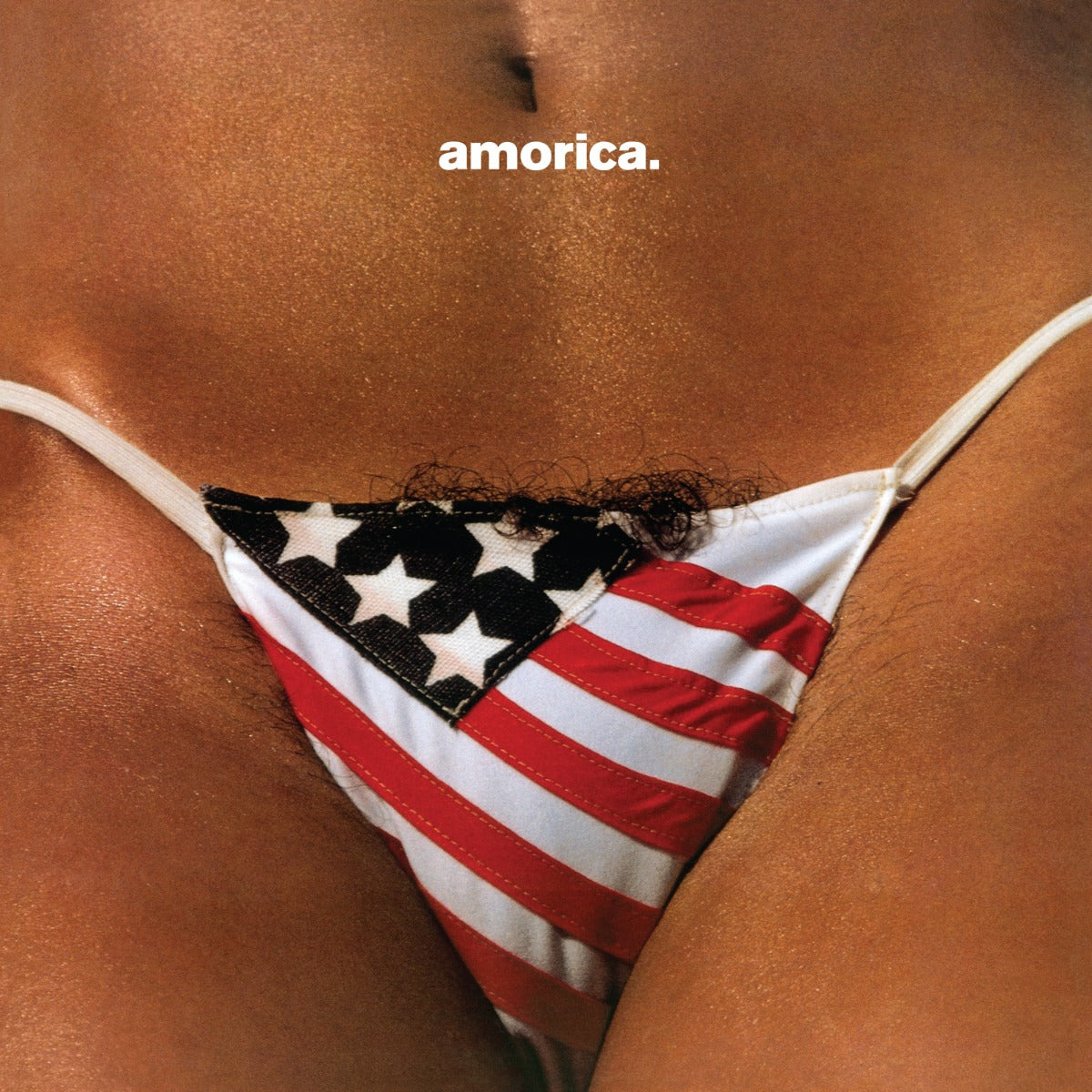 The Black Crowes Amorica. [Super Deluxe 180G 5LP]