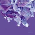 Various Atrists Pop Ambient 2025