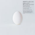 Wilco A Ghost Is Born (Deluxe Edition) (9 Cd's, Box Set)