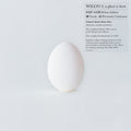 Wilco A Ghost Is Born (Deluxe Edition, Boxed Set, With CD) ((9 Lp's/ 4 Cd's Box set)