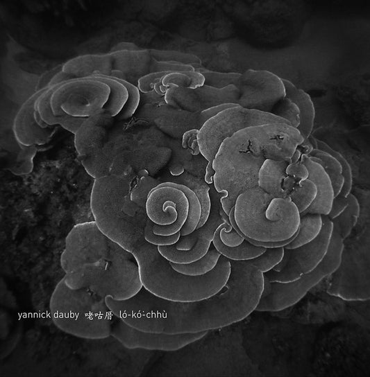 YANNICK DAUBY Penghu Experimental Sound Studio Vol. 2
