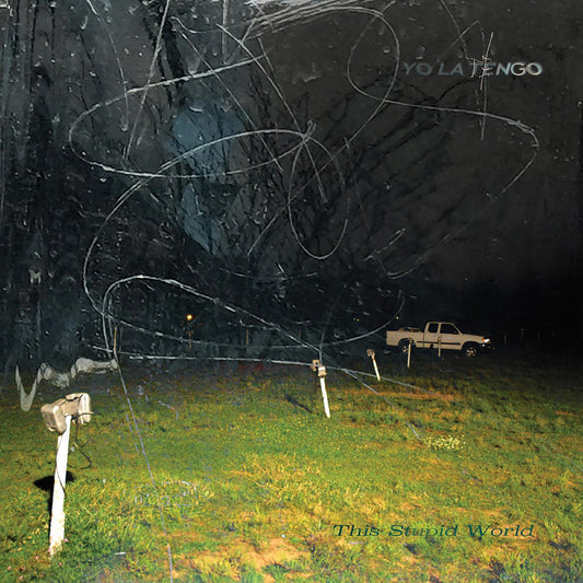 Yo La Tengo This Stupid World (2 Lp's)